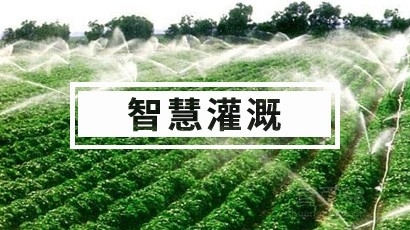 智慧灌溉系统